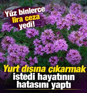 Yurt dışına ka&ccedil;ırmak istedi hayatının hatasını yaptı