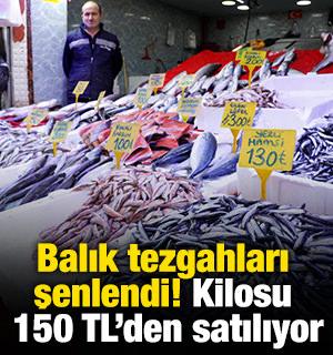 Balık tezgahları şenlendi! Kilosu 150 TL'den satılıyor