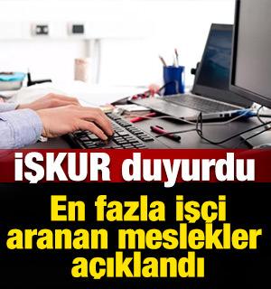 İŞKUR 2025 verileriyle duyurdu: En fazla iş&ccedil;i aranan meslekler a&ccedil;ıklandı