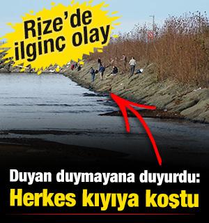 Rize'de ilgin&ccedil; olay: Duyan duymayana duyurdu! Herkes kıyıya akın etti