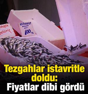 Tezgahlar istavritle doldu: Fiyatlar dibi g&ouml;rd&uuml;