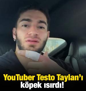 YouTuber Testo Taylan'ı k&ouml;pek ısırdı! 