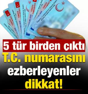 T.C. kimlik numarasını ezberleyenler dikkat! 5 &ccedil;eşit &ccedil;ıktı