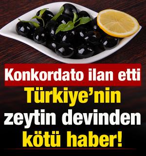 T&uuml;rkiye'nin zeytin devinden k&ouml;t&uuml; haber! Konkordato ilan etti