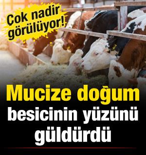 &Ccedil;ok nadir g&ouml;r&uuml;l&uuml;yor! Edirne'de besicinin y&uuml;z&uuml;n&uuml; mucize doğum g&uuml;ld&uuml;rd&uuml;