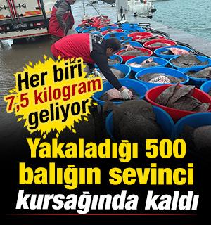 Kocaeli'de yakaladığı 500 kalkan balığının sevinci kursağında kaldı