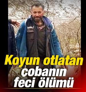 Koyun otlatırken &ccedil;ığ altında kalan &ccedil;obanın feci &ouml;l&uuml;m&uuml;
