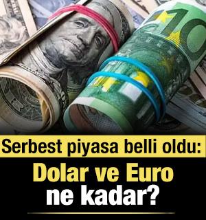 Serbest piyasada d&ouml;viz a&ccedil;ılış fiyatları