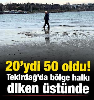 Tekirdağ'da denizdeki hareketlilik b&ouml;lge halkını tedirgin etti