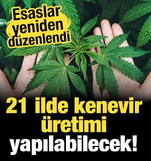 21 ilde kenevir &uuml;retimi yapılabilecek!