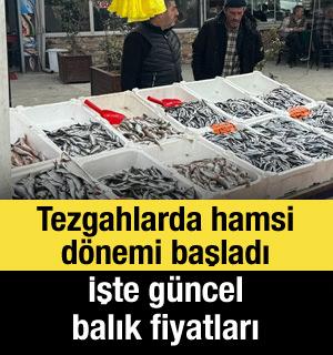 Tezgahlarda hamsi d&ouml;nemi başladı: İşte g&uuml;ncel balık fiyatları
