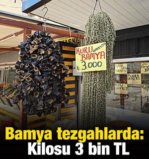Bamya tezgahlarda: Kilosu 3 bin TL