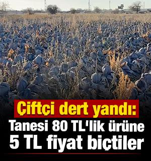 &Ccedil;ift&ccedil;i dert yandı: Tanesi 80 TL'lik &uuml;r&uuml;ne 5 TL fiyat bi&ccedil;tiler