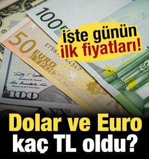 Dolar ve Euro ka&ccedil; TL oldu? İşte g&uuml;n&uuml;n ilk rakamları...