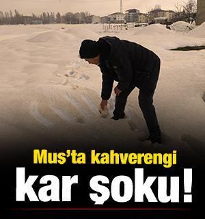 İlgin&ccedil; olayın adresi Muş! Beyaz kar bir gecede kahverengiye d&ouml;n&uuml;şt&uuml;