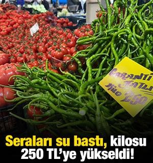 Seraları su bastı, kilosu 250 TL'ye y&uuml;kseldi!