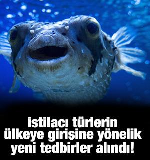 Bakanlık devrede! Yeni &ouml;nlemler alınacak