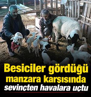 Denizli'de besiciler g&ouml;rd&uuml;ğ&uuml; manzara karşısında sevin&ccedil;ten havalara u&ccedil;tu! 