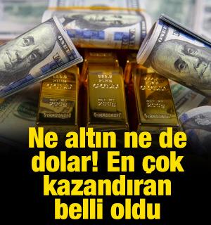  Ne altın ne de dolar: Rekor değişti! En &ccedil;ok kazandıran a&ccedil;ıklandı 