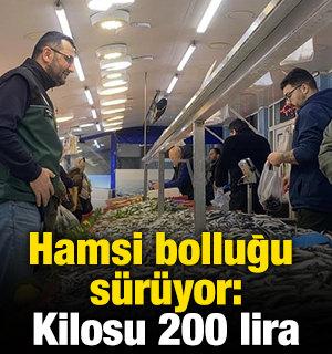Hamsi bolluğu s&uuml;r&uuml;yor: Kilosu 200 lira