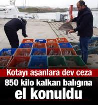 Ka&ccedil;ak avlanan 850 kilo kalkan balığına el konuldu