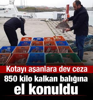 Ka&ccedil;ak avlanan 850 kilo kalkan balığına el konuldu
