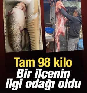 98 kiloluk dev balık: Tam 2 metre boyunda