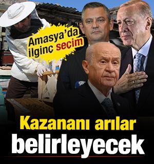 Amasya'da ilgin&ccedil; se&ccedil;im: Kazananı arılar belirleyecek