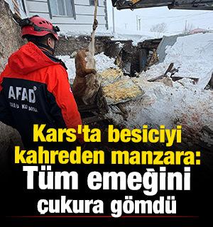 Kars'ta 2 ahır &ccedil;&ouml;kt&uuml;, 4 b&uuml;y&uuml;kbaş hayvan telef oldu