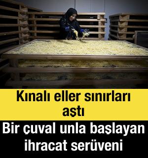  Bir &ccedil;uval unla başlayan ihracat ser&uuml;veni: Kınalı eller sınırları aştı