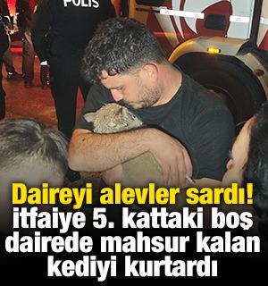 Daireyi alevler sardı! 5. kattaki boş dairede mahsur kalan kediyi itfaiye kurtardı