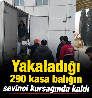 Yakaladığı 290 kasa balığın sevinci kursağında kaldı 