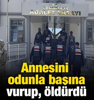 Annesini odunla başına vurup, &ouml;ld&uuml;rd&uuml;