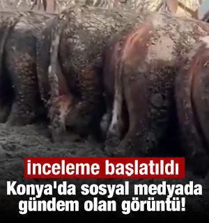 Konya'da sosyal medyada g&uuml;ndem olan g&ouml;r&uuml;nt&uuml;! İnceleme başlatıldı