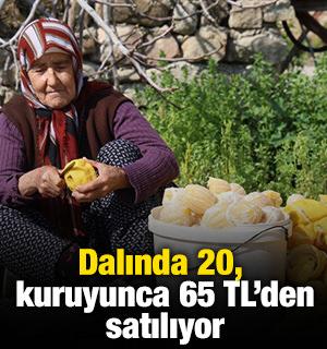 Dalında 20, kuruyunca 65 TL'den satılıyor