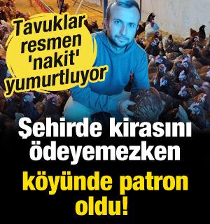 Şehirde kirasını &ouml;deyemezken, k&ouml;y&uuml;nde patron oldu! Tavuklar resmen 'nakit' yumurtluyor