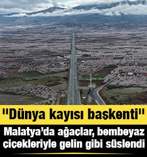 "D&uuml;nya kayısı başkenti" Malatya beyaz gelinliğini giydi