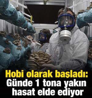 Hobi olarak başladı: G&uuml;nde 1 tona yakın hasat elde ediyor