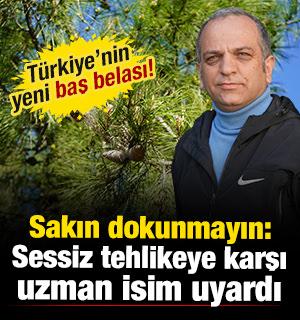 T&uuml;rkiye'nin yeni baş belası! Sakın dokunmayın: Sessiz tehlikeye karşı uzman isim uyardı