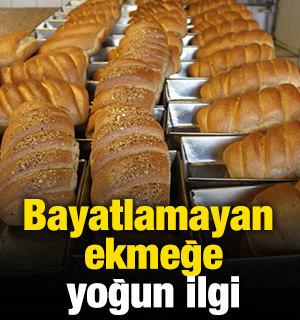 Bayatlamayan ekmeğe yoğun ilgi