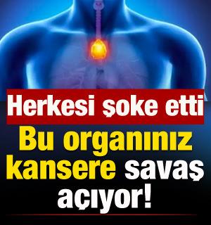 Bu organınız kansere savaş a&ccedil;ıyor! Herkesi şoke etti