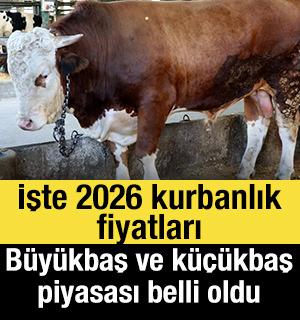 B&uuml;y&uuml;kbaş ve k&uuml;&ccedil;&uuml;kbaş piyasası belli oldu: İşte 2026 kurbanlık fiyatları