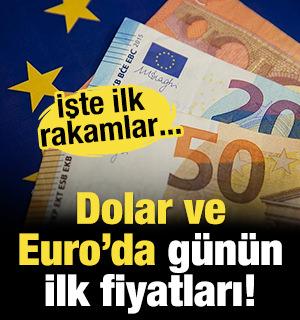 Serbest piyasada d&ouml;viz a&ccedil;ılış fiyatları!