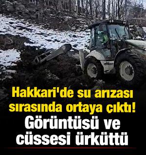Hakkari'de su arızası sırasında ortaya &ccedil;ıktı! G&ouml;r&uuml;nt&uuml;s&uuml; ve c&uuml;ssesi &uuml;rk&uuml;tt&uuml; 