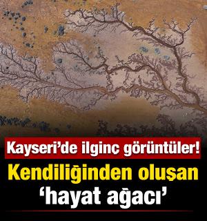 Kendiliğinden oluşan hayat ağacı! Kayseri&rsquo;de g&ouml;l havzasında ilgin&ccedil; g&ouml;r&uuml;nt&uuml;ler