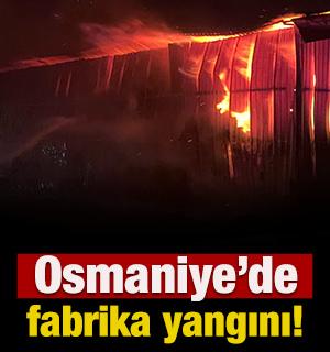 Osmaniye&rsquo;de fabrika yangını!
