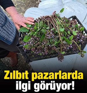 Zılbıt pazarlarda ilgi g&ouml;r&uuml;yor
