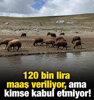120 bin lira maaş veriliyor, ama kimse kabul etmiyor!