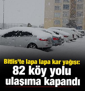 Bitlis'te lapa lapa kar yağışı: 82 k&ouml;y yolu ulaşıma kapandı