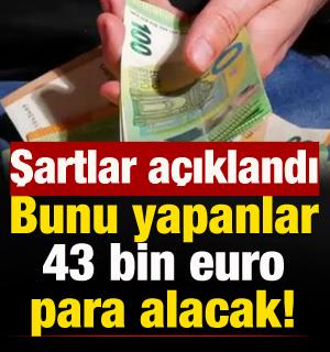 Bunu yapanlar 43 bin euro para alacak! İşte, şartlar...